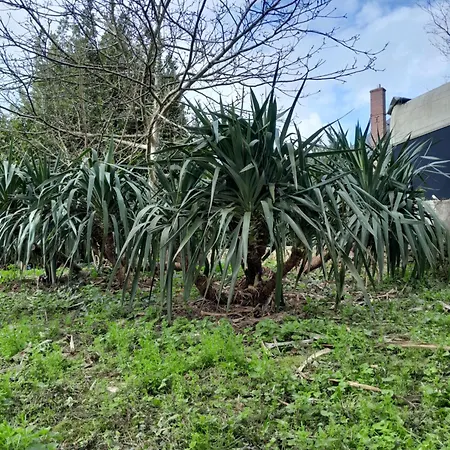 Architecture Dans Le Perche Rémalard