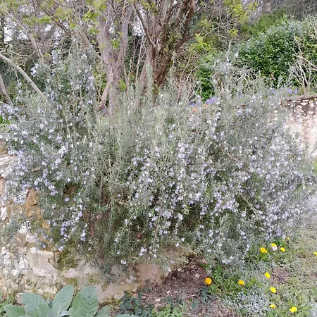 Architecture Dans Le Perche