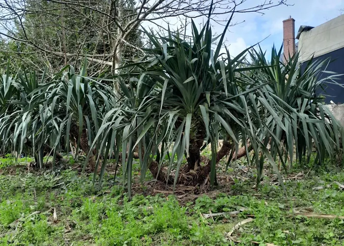 Des Arts - Architecture Dans Le Perche Rémalard