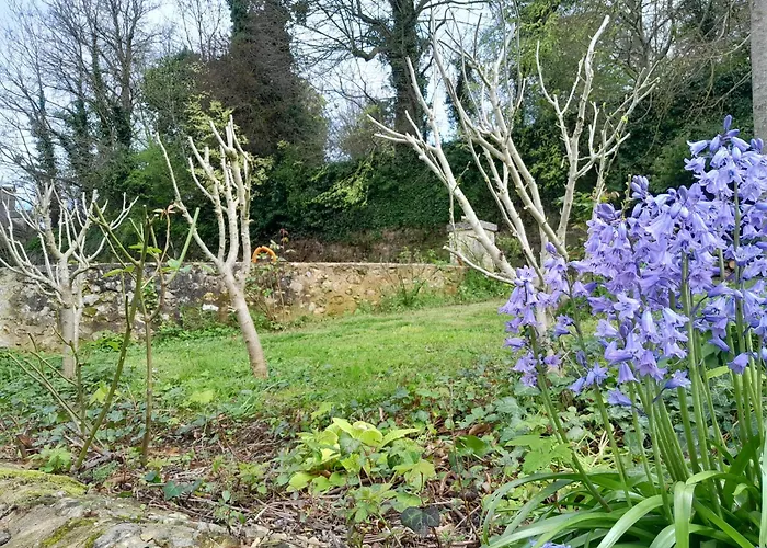 Apartment Des Arts - Architecture Dans Le Perche Remalard