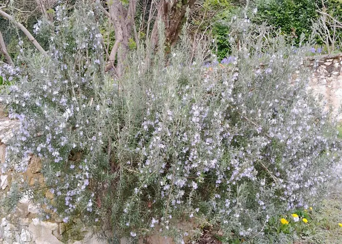 Des Arts - Architecture Dans Le Perche